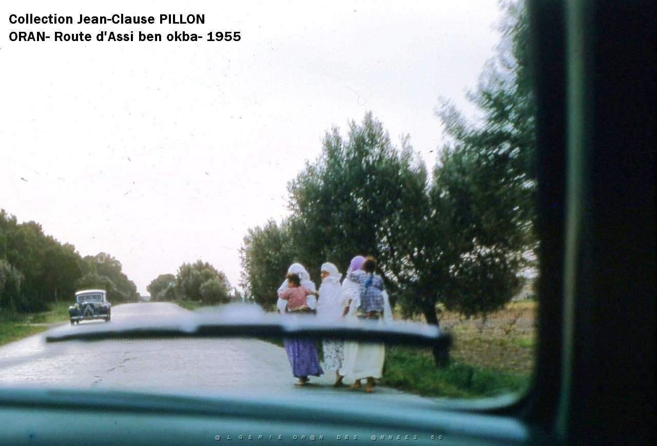 ORAN ROUTE D ASSI BEN OKBA 1955.JPG
